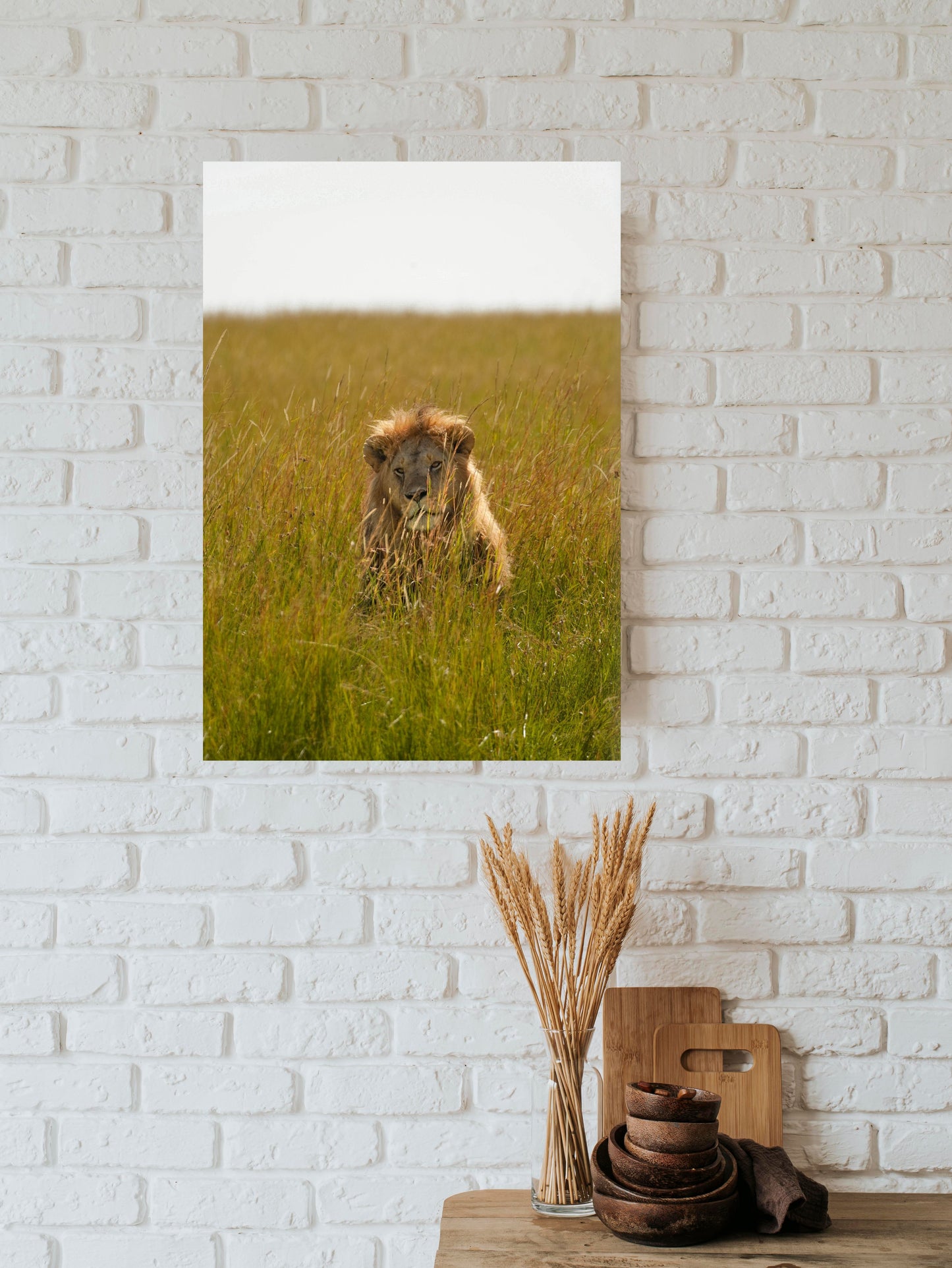 The King - Masaï Mara, Kenya