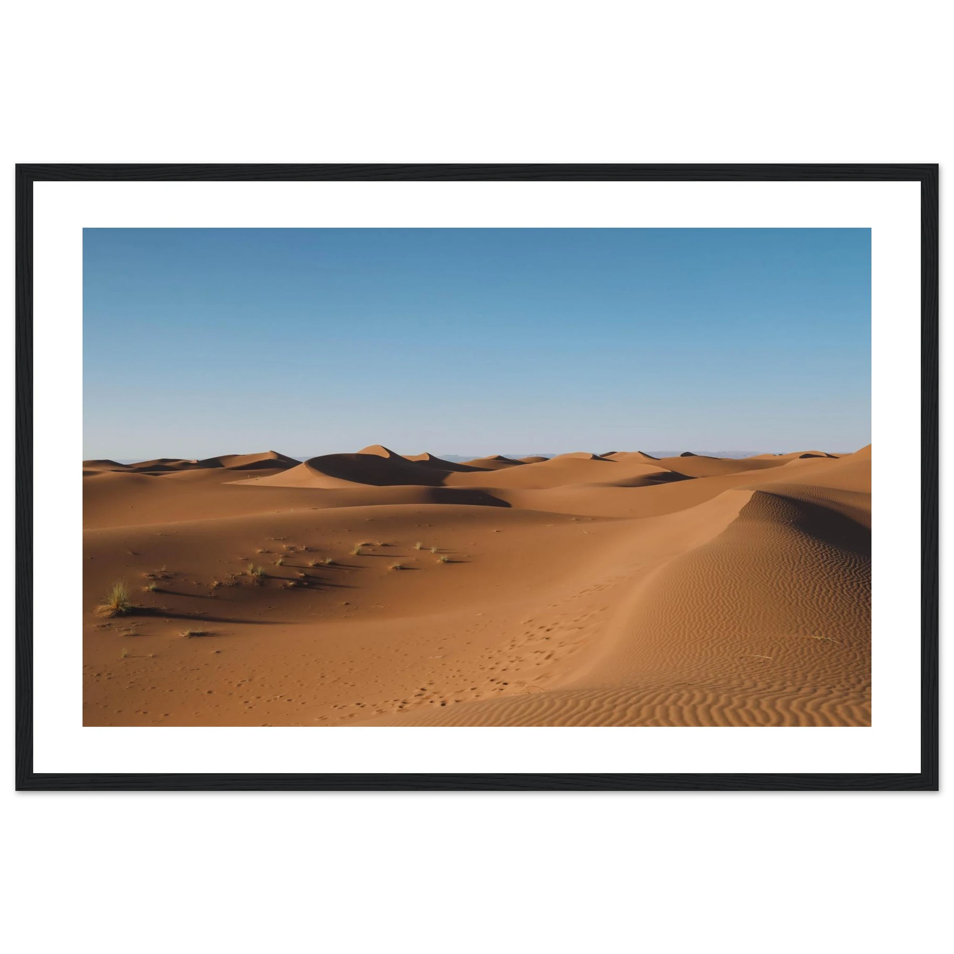 608e1ac9-f0f4-4d54-bffc-6b8733add02b