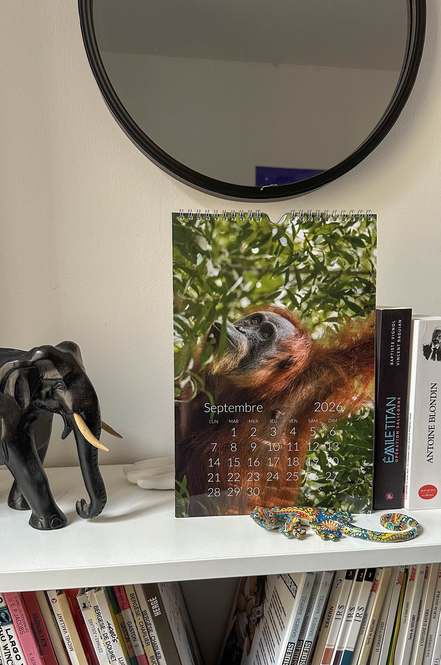 Calendrier Wild 2026